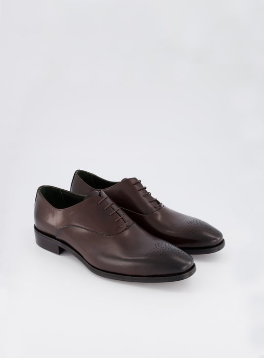 Working Style | Isaak Chocolate Brogue Shoe | Chocolate